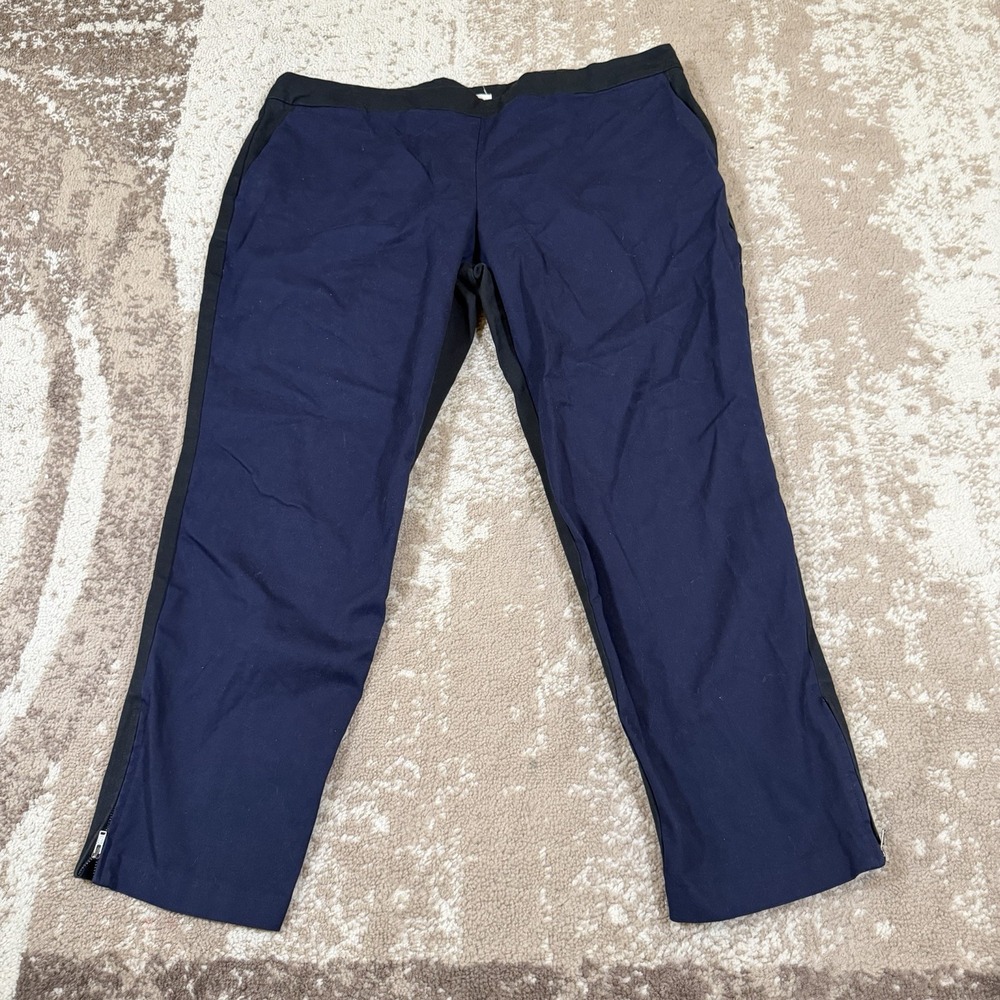 EILEEN FISHER Pants Womens XL Blue Stretch Organic Cotton Colorblock Zip Ankle